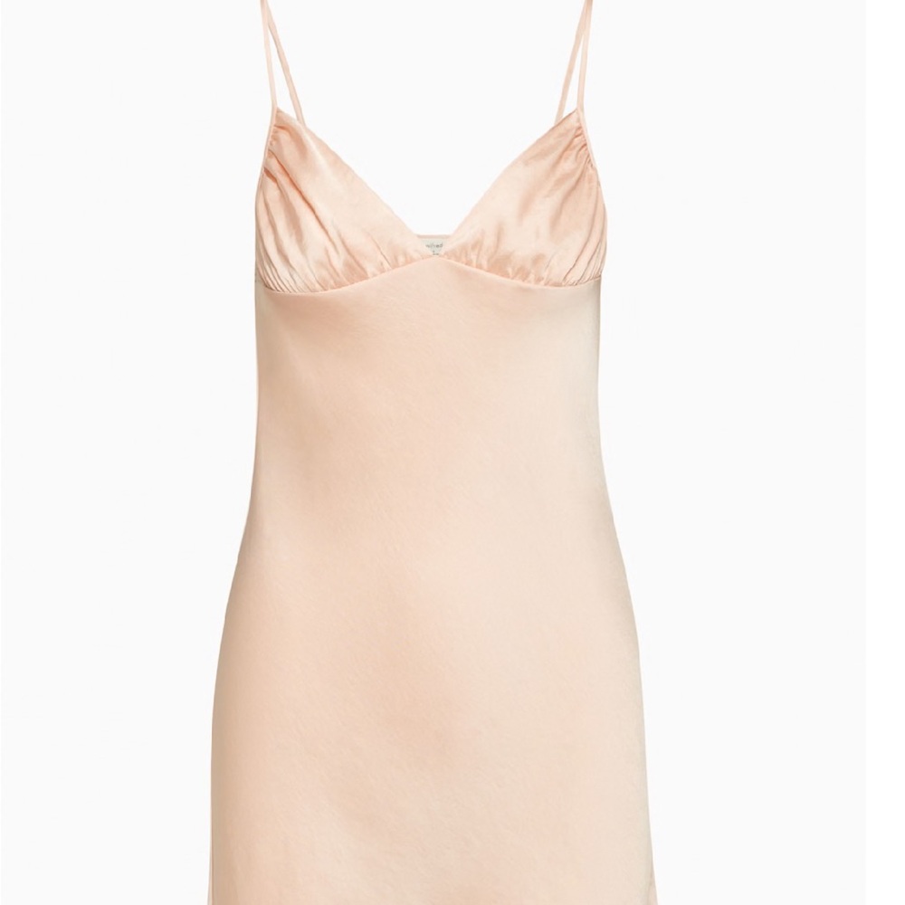 Aritzia Wilfred Dress